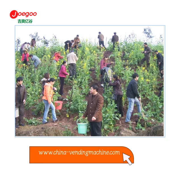 Exportní oddělení společnosti Jeogoo zorganizovalo dobrovolnou aktivitu pro F...